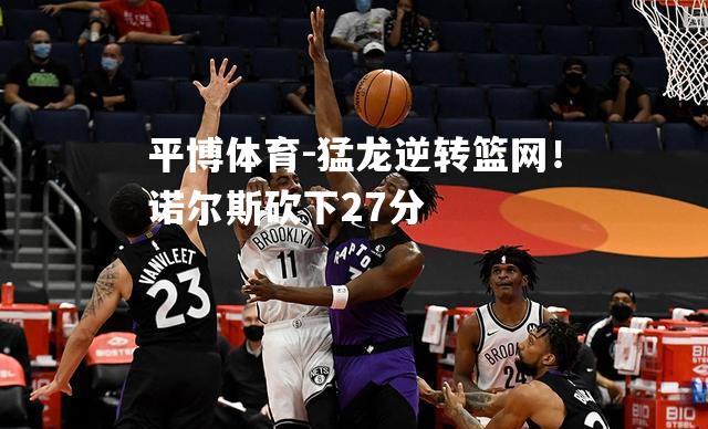 猛龙逆转篮网！诺尔斯砍下27分