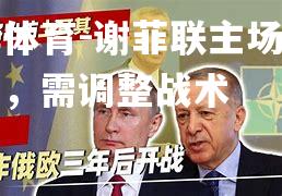 谢菲联主场失球告负，需调整战术