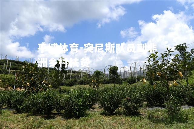 突尼斯队员到非洲乡村扶贫