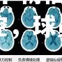 华勒福斯森主教练情绪失控，球员集体受罚