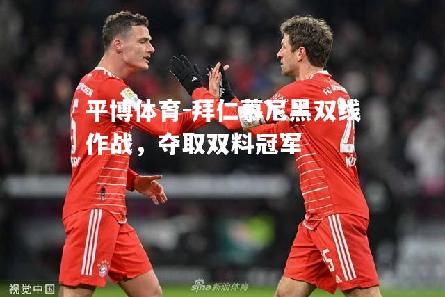 拜仁慕尼黑双线作战，夺取双料冠军